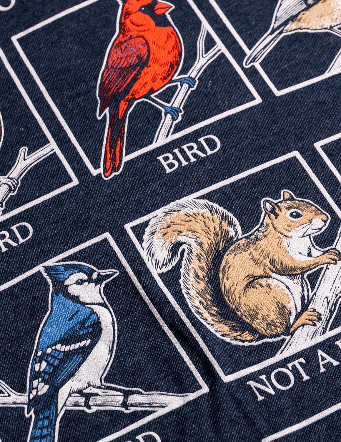 Ann Arbor T-shirt Co. Funny Bird Watching Birder Nerd Watcher Tee Shirts